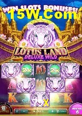 Apostas de Tênis 79X